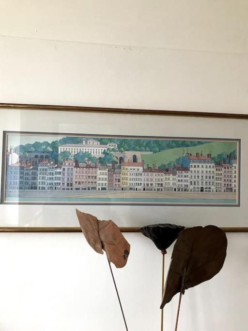 Vue Sur L'Eau Lejlighed Lyon Eksteriør billede